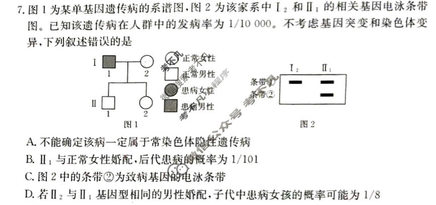 2026年甘肃省普通高校招生统一考试100所名校高考冲刺卷·生物(二)2[26·(新高考)CCJ·生物·GS]试题