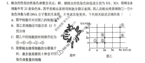 重庆西南大学附属高2026届高考全真模拟(2026年5月)生物试题