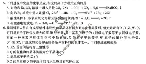 [天一大联考]2025-2026学年高三诊断(一)1化学(HN)试题