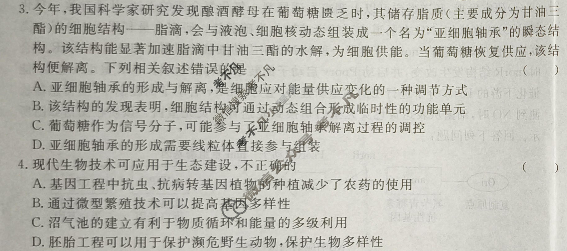 高三2026届高考冲刺综合训练(四)4生物试题