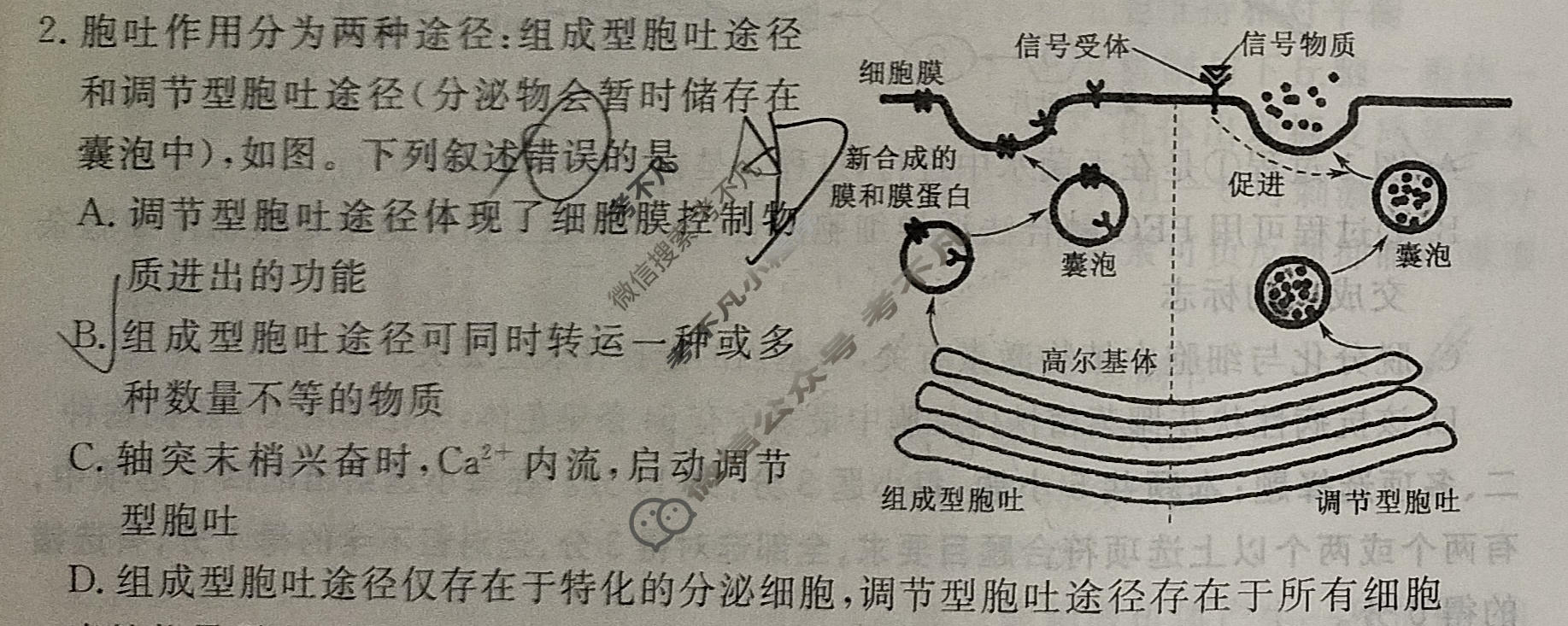 [黄冈八模·文海]2026届高三大练习(五)5生物试题