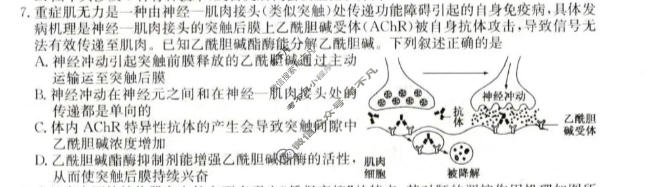 高三2026年普通高校招生考试冲刺压轴卷(二)2生物B2试题