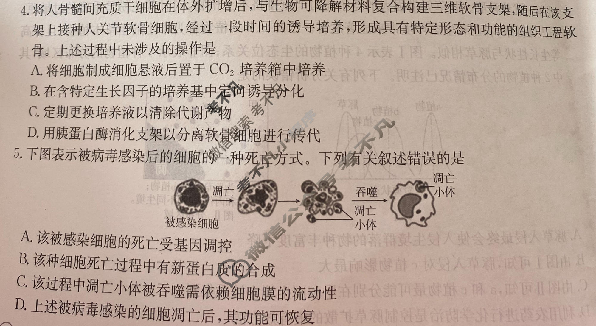 2026年普通高中学业水平选择性考试高考模拟示范卷·生物学(六)6[26·(新高考)ZX·MNJ·生物学·HJLM]试题