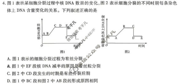 [天一大联考]湖南省2025-2026学年高三5月联考(HUN202605)生物试题