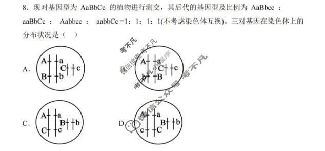 哈三中2025-2026学年下学期高一年级期中生物试题