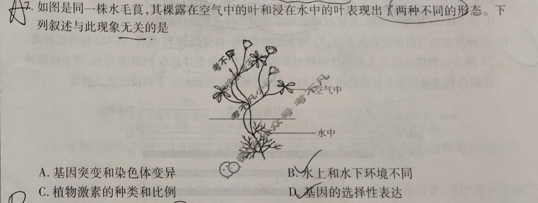 [天一大联考]2026届高三年级5月联考(★★★202605)生物(专版)试题