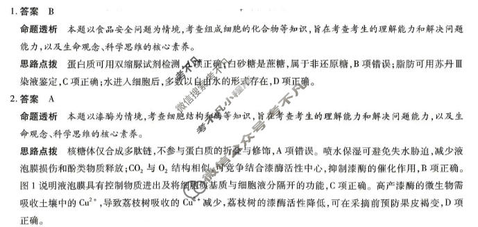 [天一大联考]湖南省2025-2026学年高三5月联考(HUN202605)生物答案