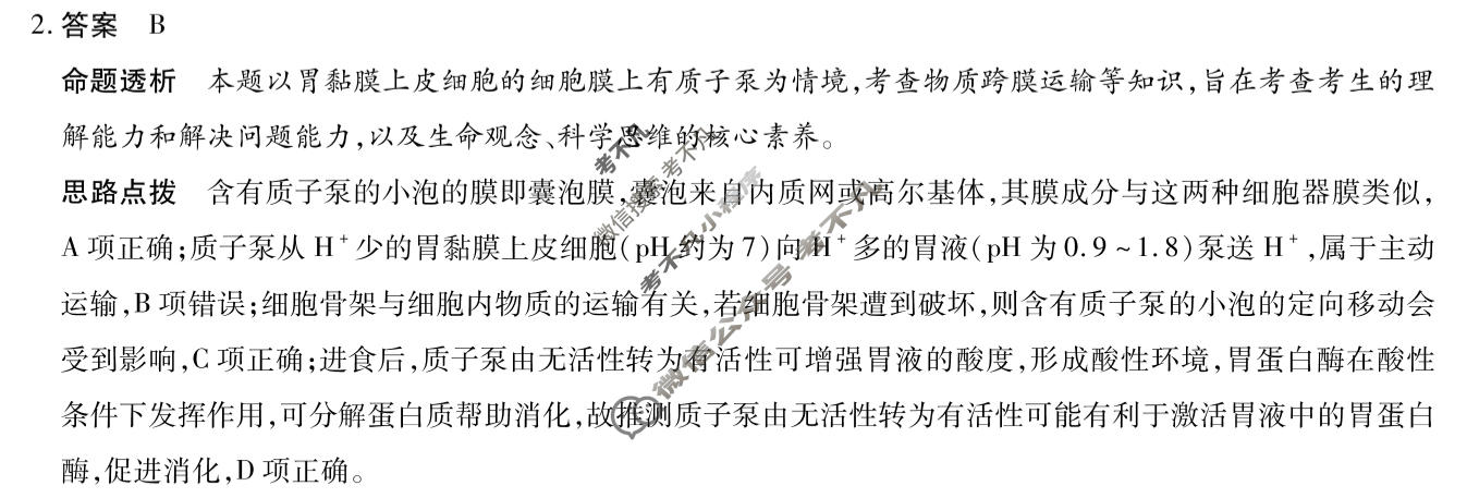 [天一大联考]河南省2025-2026学年下学期高三5月联考(HN202605)生物答案