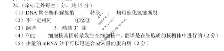 哈三中2025-2026学年下学期高一年级期中生物答案