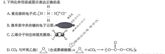 [九师联盟]2026届高三学业评估(角标含G)化学W-G试题