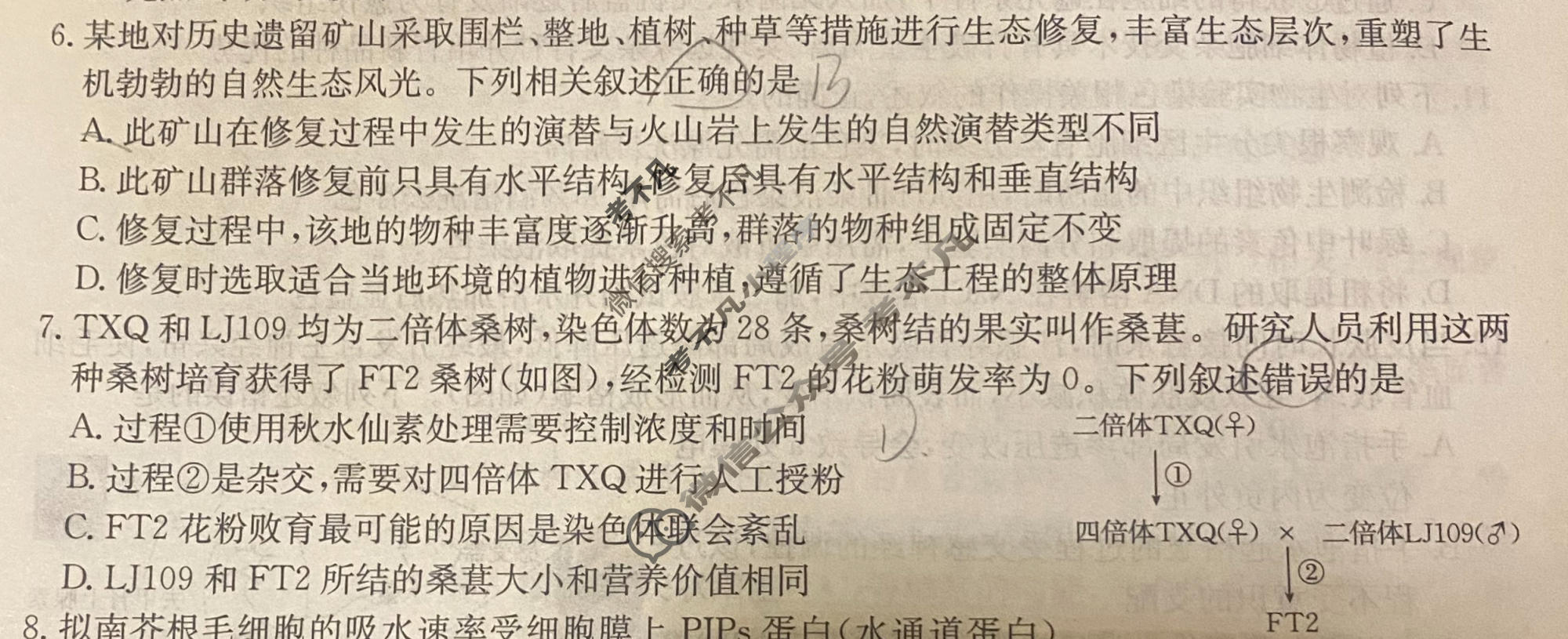 2026年普通高中学业水平选择性考试高考模拟示范卷·生物学(八)8[26·(新高考)ZX·MNJ·生物学·HJLM]试题