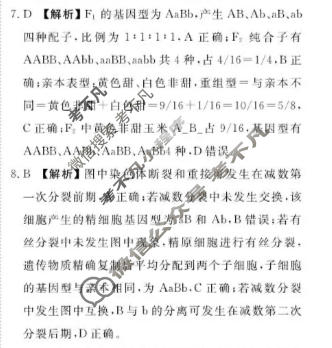 [点石联考]2026届高一年级学情调研(5月)生物答案
