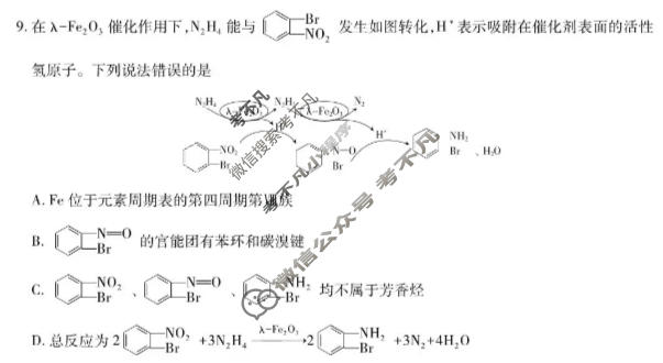 [上进联考]广东省2025-2026学年下学期5月高二年级学情检测化学试题