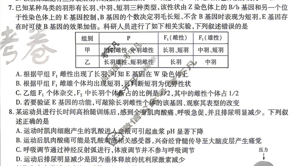 [金考卷]2026年普通高招全国统一考试临考预测卷生物B卷(山东)试题