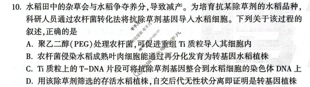 [黑白卷]2026年普通高等学校招生全国统一考试(白卷)生物(新高考)试题