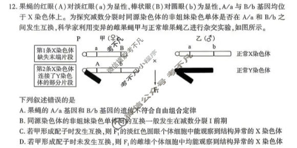 厦门市2026届高中毕业班适应性练习生物试题