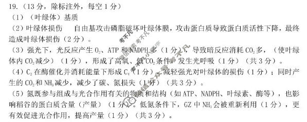 泉州市2026届高中毕业班适应性练习题库(5月)生物答案