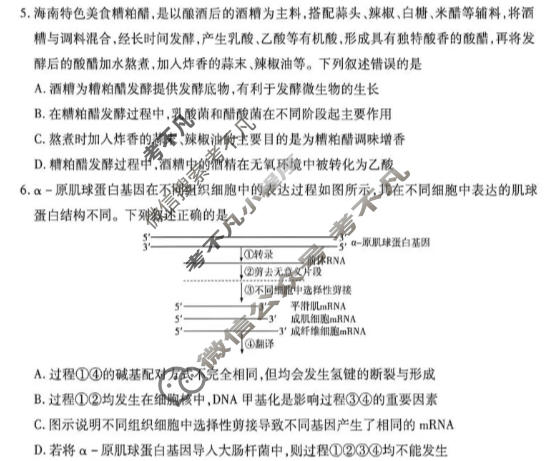 [天一大联考]海南省2025-2026学年高三年级5月联考(5)生物试题