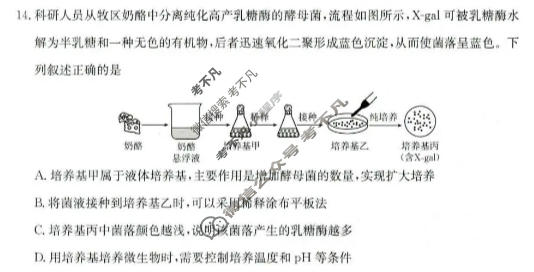 河北省金太阳2025-2026学年高二年级5月联考(5.11)生物试题