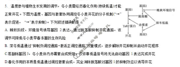 重庆康德2026年重庆市普通高中学业水平选择性考试 高考模拟调研卷(七)7生物试题