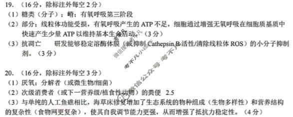 湖北省鄂东南联盟2026年春季高三年级模拟考(5月)生物答案