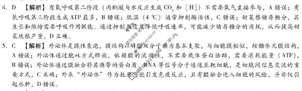 [琢名小渔]名校联考2025-2026学年下学期高三年级5月联考生物(河南)答案