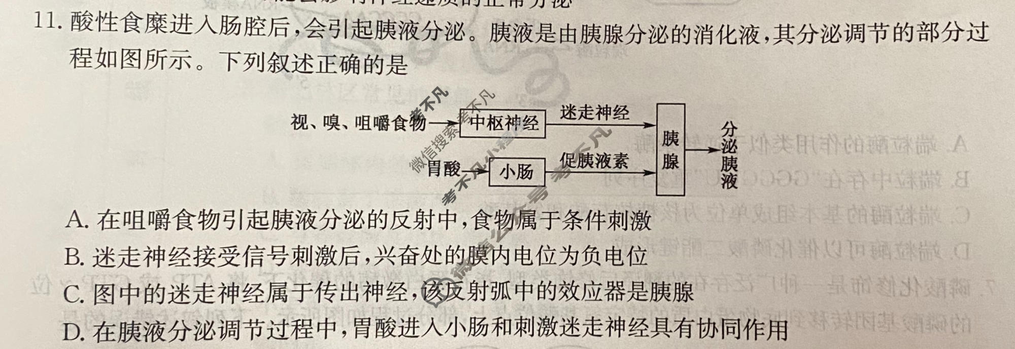 高三2026年普通高等学校招生全国统一考试猜题信息卷(一)1生物B1试题
