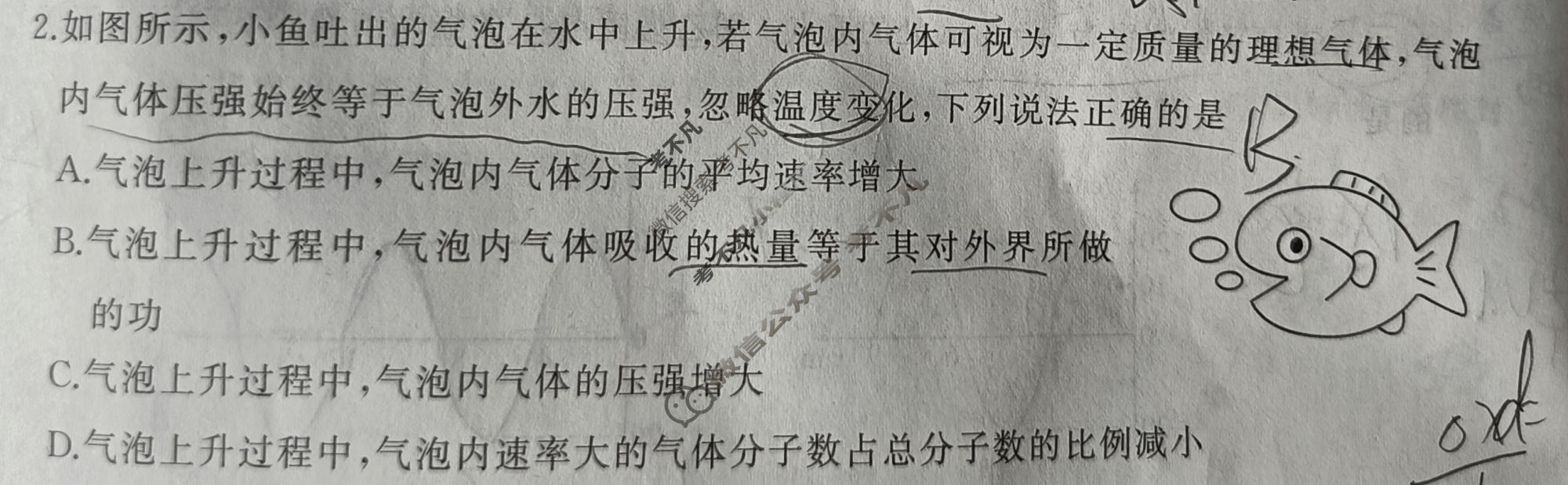 [百师联盟]2026届高三考前适应性训练(二)2物理(百S)试题