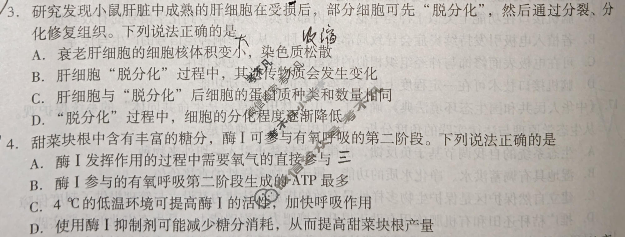 [琢名小渔]名校联考2025-2026学年下学期高三年级5月联考生物试题
