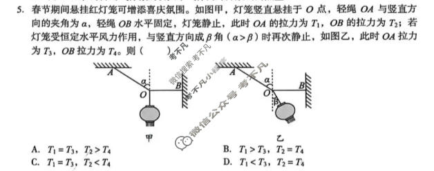 [1号卷]A10联盟2026届高三5月最后一卷物理试题