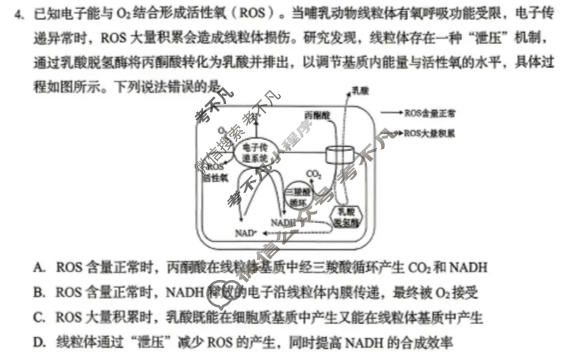 青岛市2026年高三年级第二次适应性检测(5月)生物试题