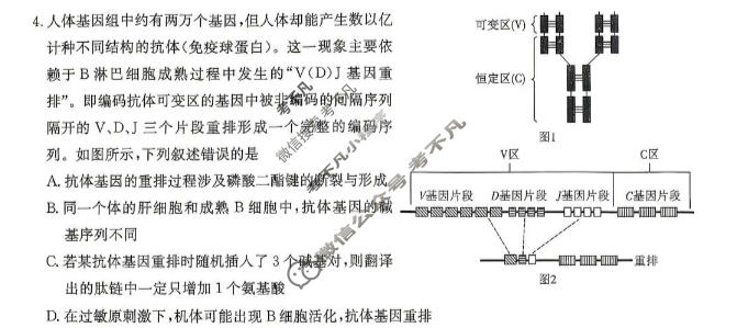 [炎德英才大联考]2026届高三模拟卷(一)(H9)生物试题