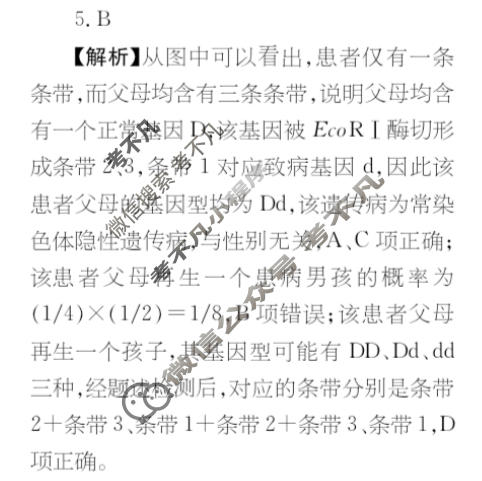 高三2025~2026学年核心突破(三十二)32生物SC试题