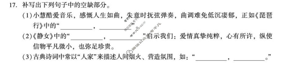 2026年邵阳市高三第三次联考语文试题
