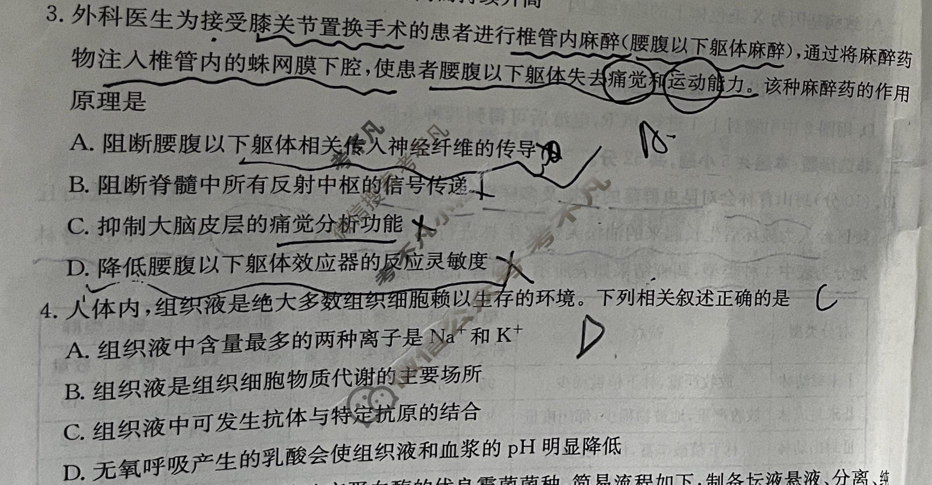 甘肃省金太阳2025-2026学年高三5月联考(5.13)生物试题