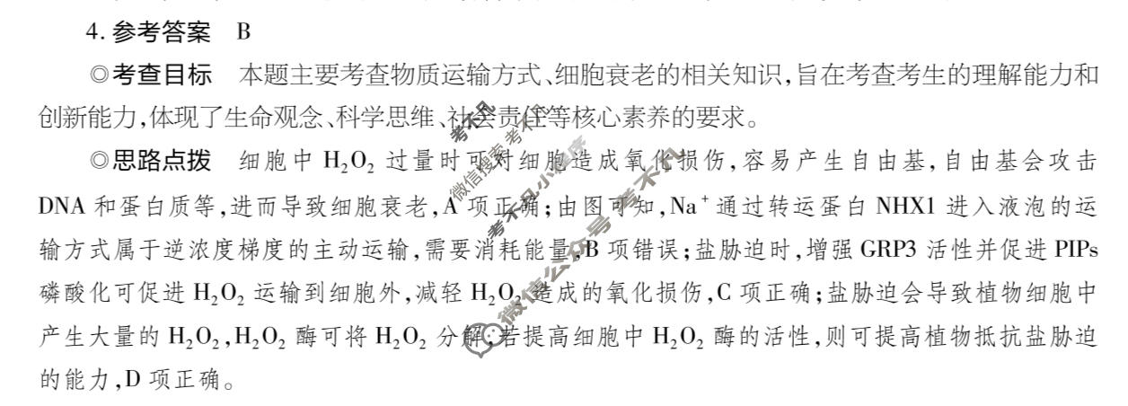 [天一大联考]2025-2026学年高三诊断(一)1生物(ANH)答案