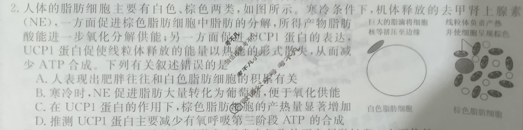 高三2026普通高等学校招生全国统一考试·冲刺压轴卷(五)5生物N试题