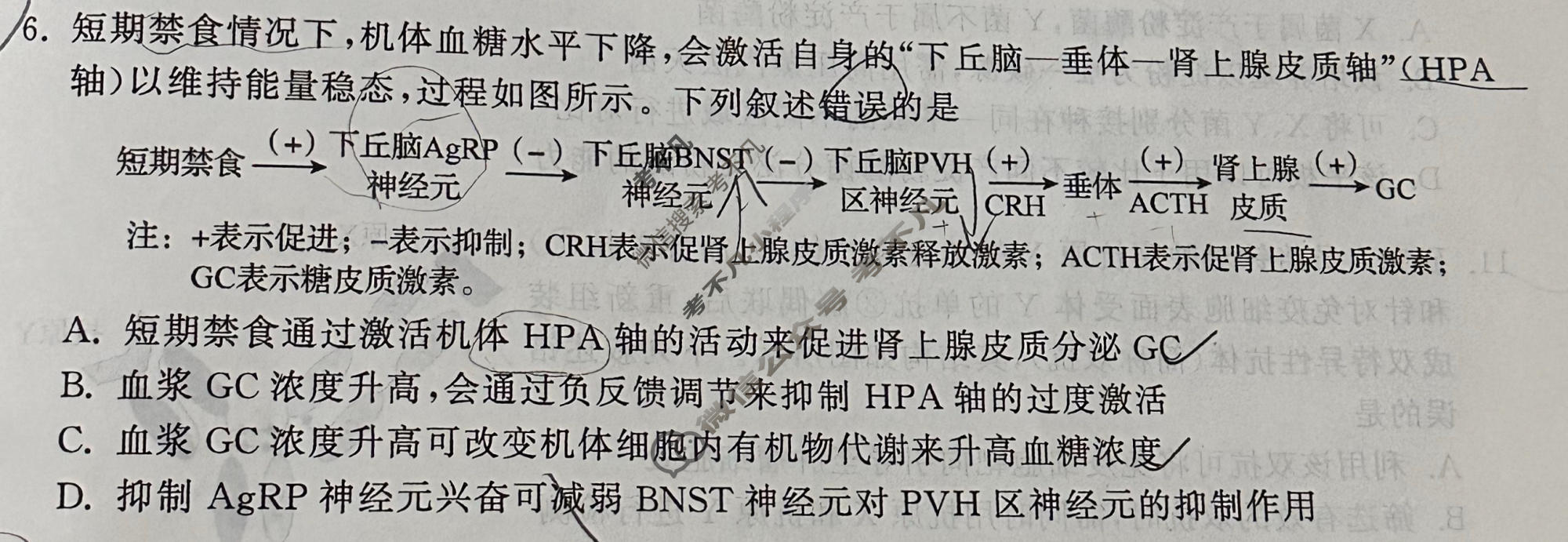 [天舟益考衡中同卷]2026年普通高中学业水平选择性考试模拟押题卷(一)1·生物(DS)试题