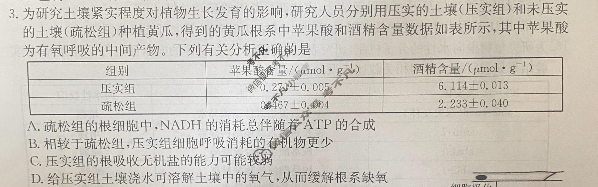 黑吉辽蒙四省金太阳2026届高三考试5月联考(HJLM)生物试题