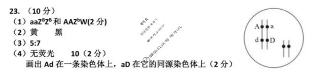 哈九中2025-2026学年高三下学期第四次模拟考试生物答案