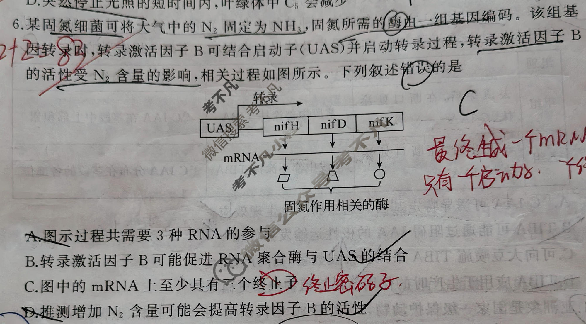 [天舟益考衡中同卷]2025-2026学年度高三年级下学期自我提升(三)3·生物学AX试题