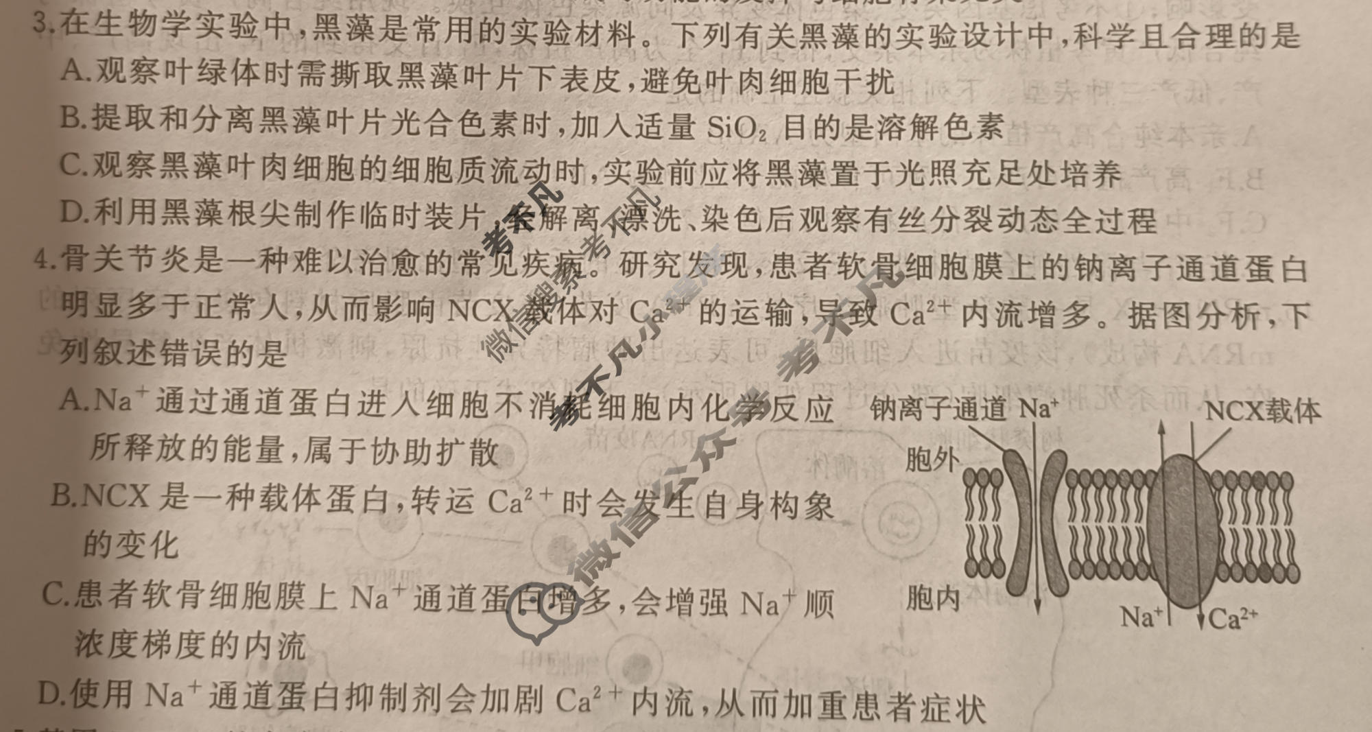 [百师联盟]2026届高三二轮复习联考(三)3生物(百H)试题