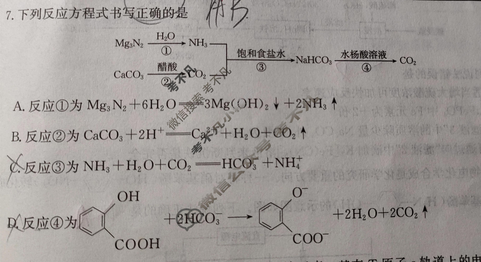 2026届陕西省金太阳高三考试5月联考(SX)化学试题