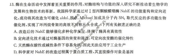 2026届湖南省金太阳高三考试5月联考(HUN)(5.23)生物试题