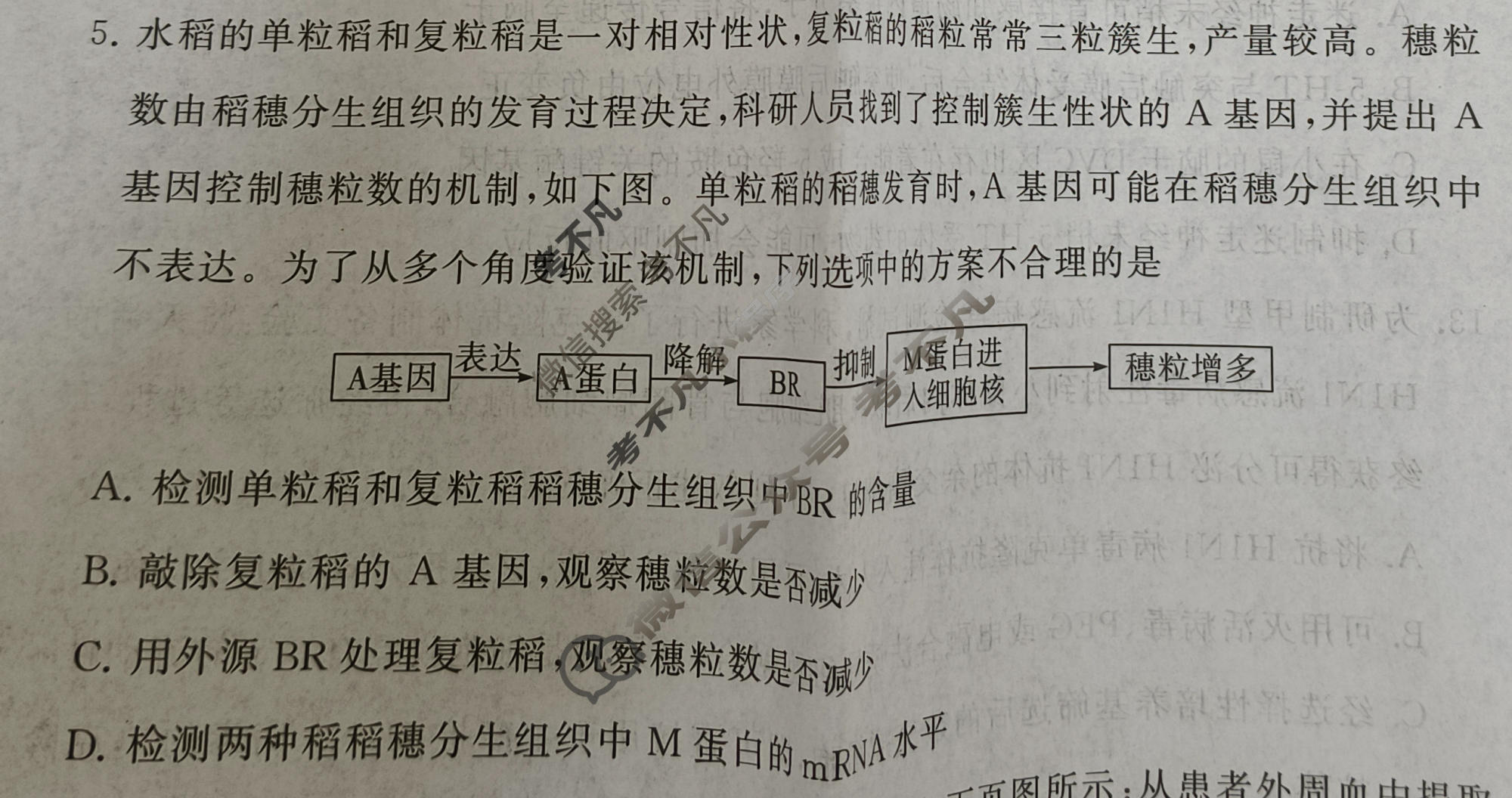 高三冲刺新高考·2026届高考压轴训练(二)2生物(HNZB)试题