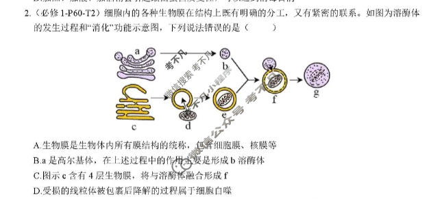 安徽省2026届高三规范性训练(5月)生物试题