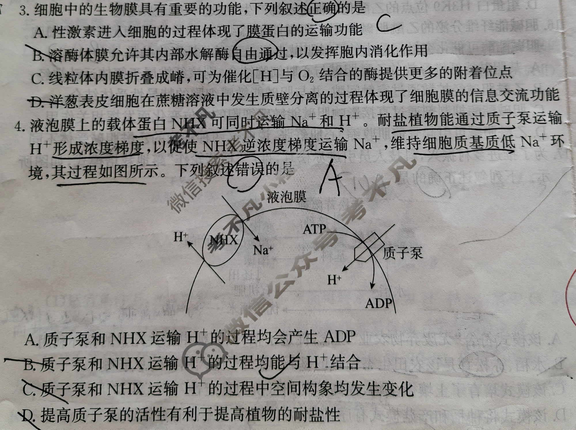 [天舟益考衡中同卷]2025-2026学年度高三年级下学期自我提升(五)5·生物学AX试题