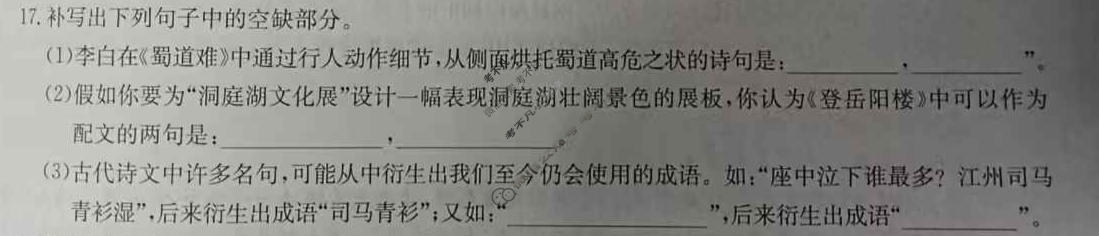 [佩佩教育]2026年普通高校统一招生考试 湖南四大名校名师团队猜题卷语文(B)试题