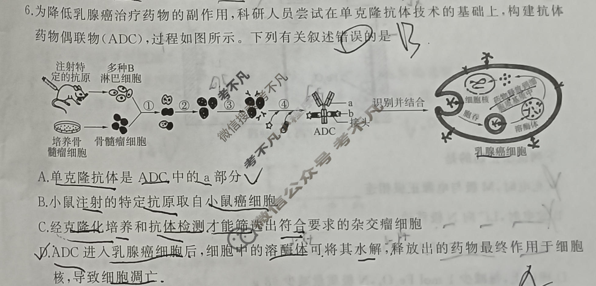 [百师联盟]2026届高三命题趋势预测(一)理科综合试题