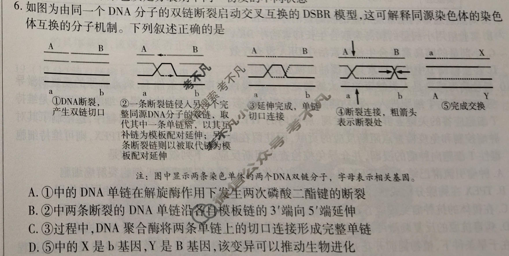 [天一大联考]2025-2026学年高三预测(二)2生物(SHX)试题